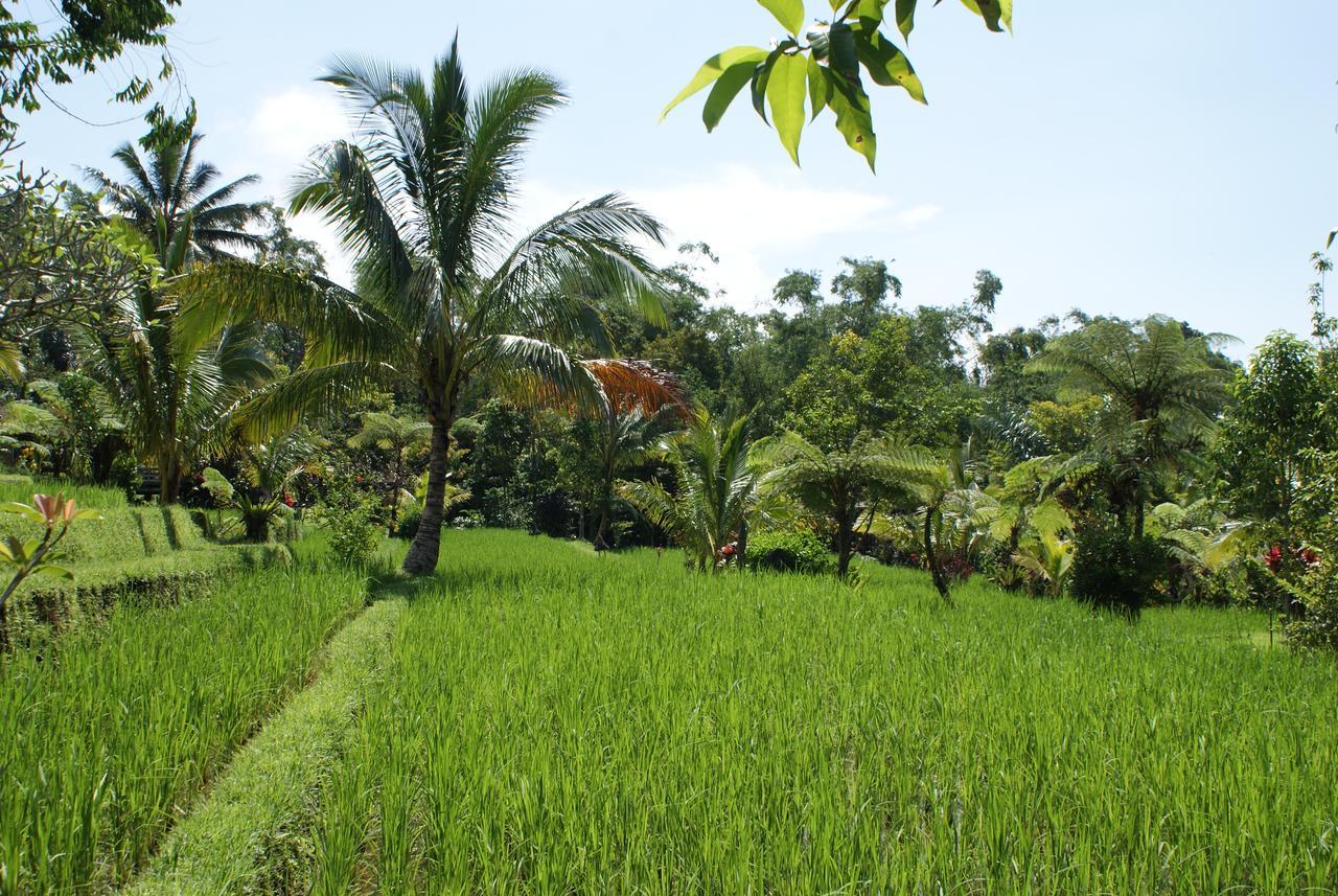 Prana Dewi Mountain Resort Jatiluwih Ngoại thất bức ảnh