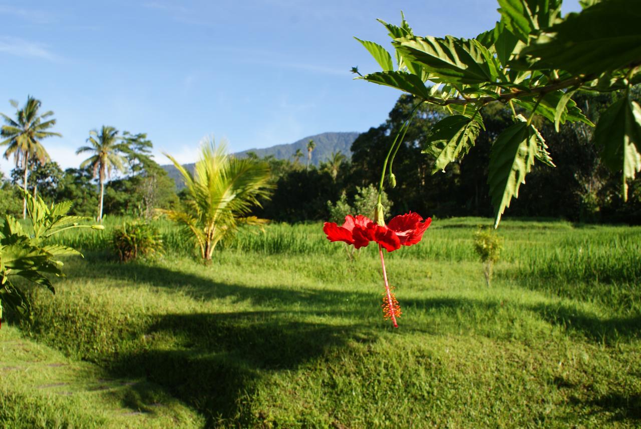 Prana Dewi Mountain Resort Jatiluwih Ngoại thất bức ảnh