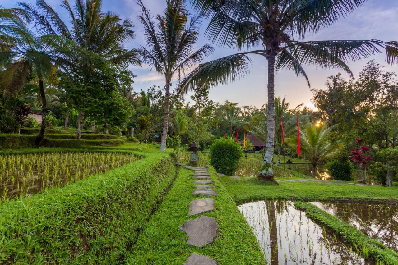 Prana Dewi Mountain Resort Jatiluwih Ngoại thất bức ảnh