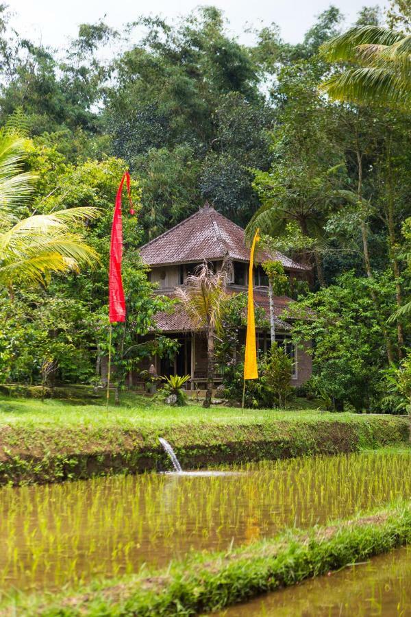 Prana Dewi Mountain Resort Jatiluwih Ngoại thất bức ảnh