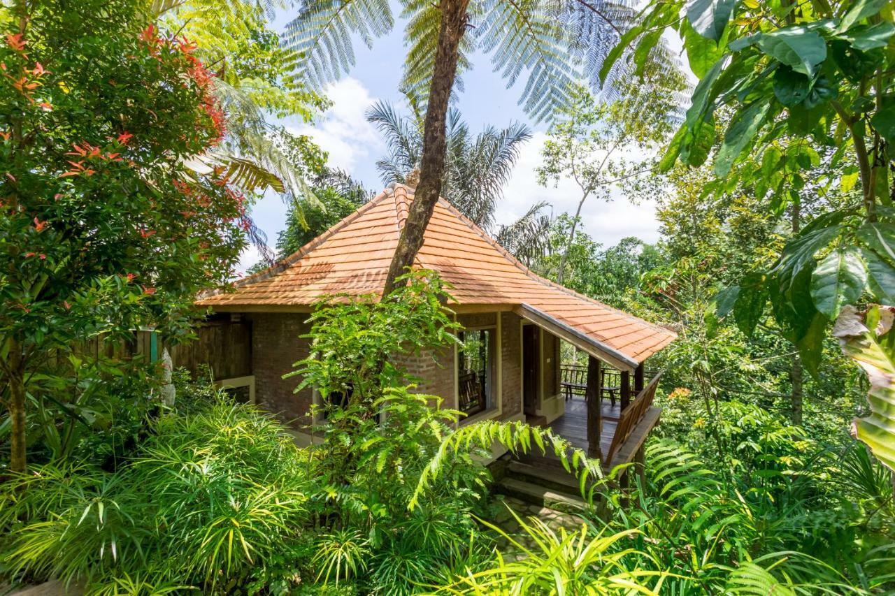 Prana Dewi Mountain Resort Jatiluwih Phòng bức ảnh